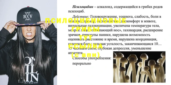сатива Липки