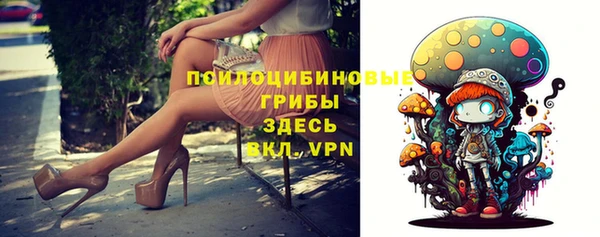 сатива Липки