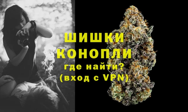 сатива Липки