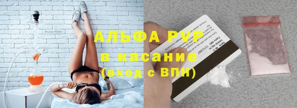 прущие грибы Лиски